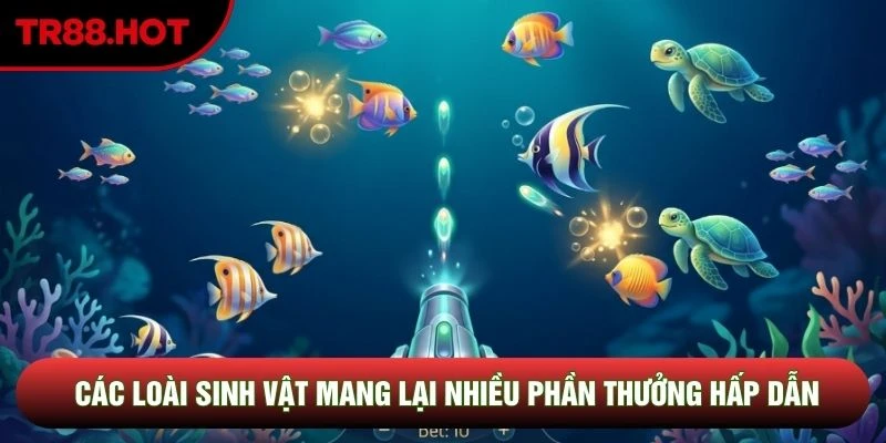 Các loài sinh vật mang lại nhiều phần thưởng hấp dẫn Các loài sinh vật mang lại nhiều phần thưởng hấp dẫn