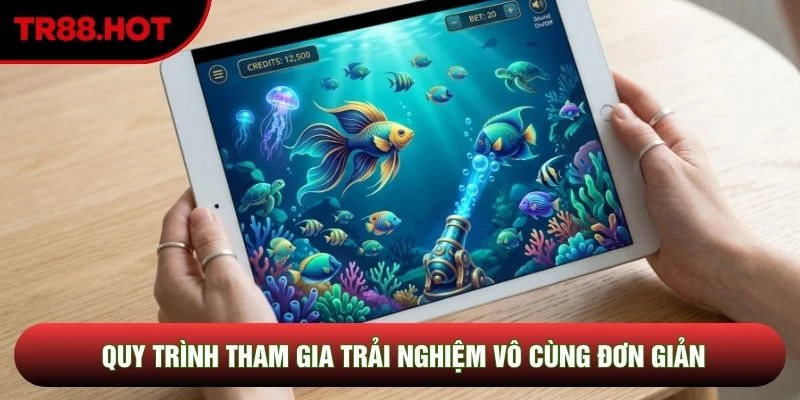 Quy trình tham gia trải nghiệm vô cùng đơn giản Quy trình tham gia trải nghiệm vô cùng đơn giản