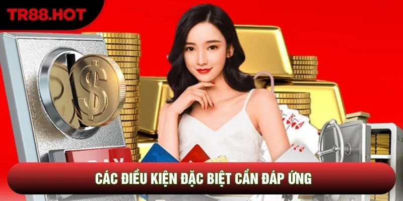 Các điều kiện đặc biệt cần đáp ứng