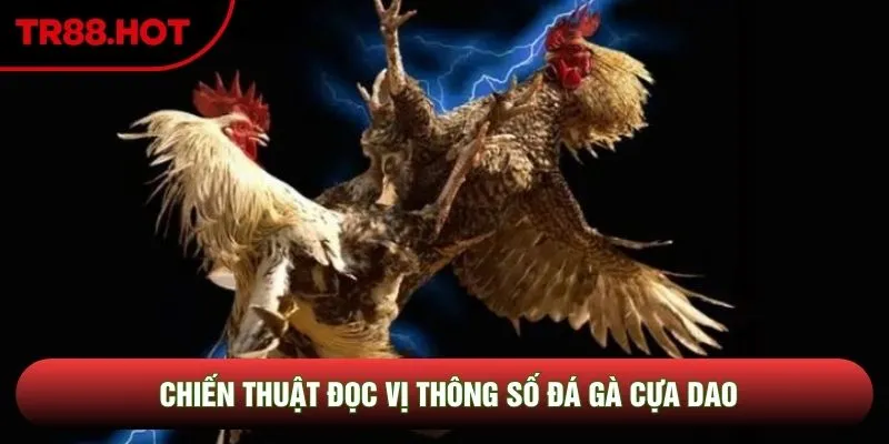 Chiến thuật đọc vị thông số đá gà cựa dao Chiến thuật đọc vị thông số đá gà cựa dao