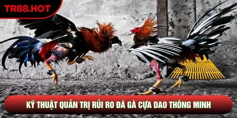 Kỹ thuật quản trị rủi ro đá gà cựa dao thông minh Kỹ thuật quản trị rủi ro đá gà cựa dao thông minh