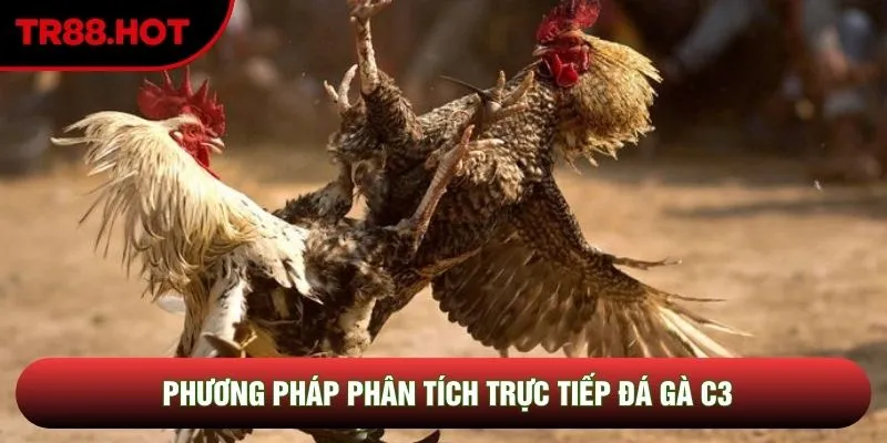 Phương pháp phân tích trực tiếp đá gà C3 Phương pháp phân tích trực tiếp đá gà C3